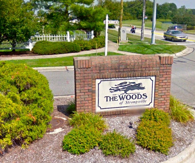 The Woods of Strongsville Homes for Sale